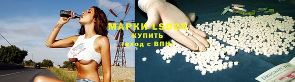 ГАЛЛЮЦИНОГЕННЫЕ ГРИБЫ Белокуриха