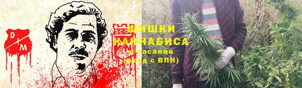 ГАЛЛЮЦИНОГЕННЫЕ ГРИБЫ Белокуриха