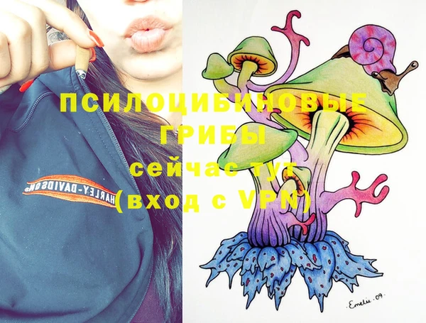 гидропоника Белоозёрский