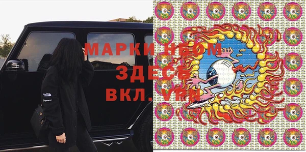 ГАЛЛЮЦИНОГЕННЫЕ ГРИБЫ Белокуриха