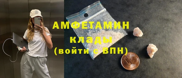 ГАЛЛЮЦИНОГЕННЫЕ ГРИБЫ Белокуриха