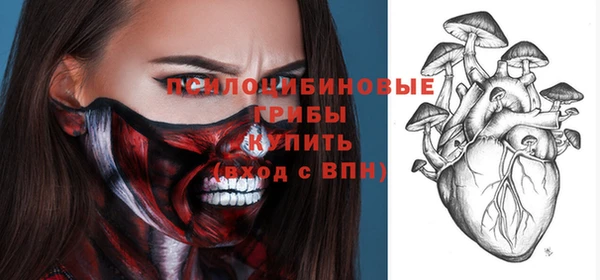 гидропоника Белоозёрский